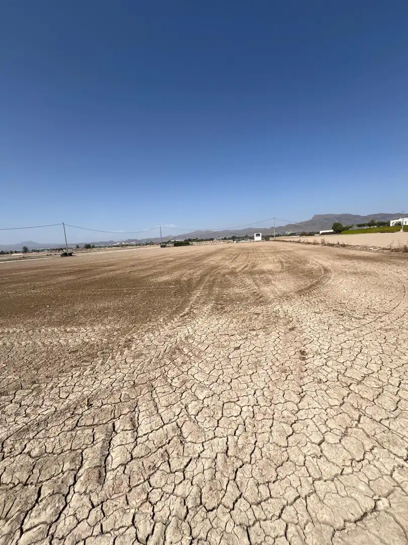 Terreno rustico in vendita a Carretera CAMPILLO, imagen 19