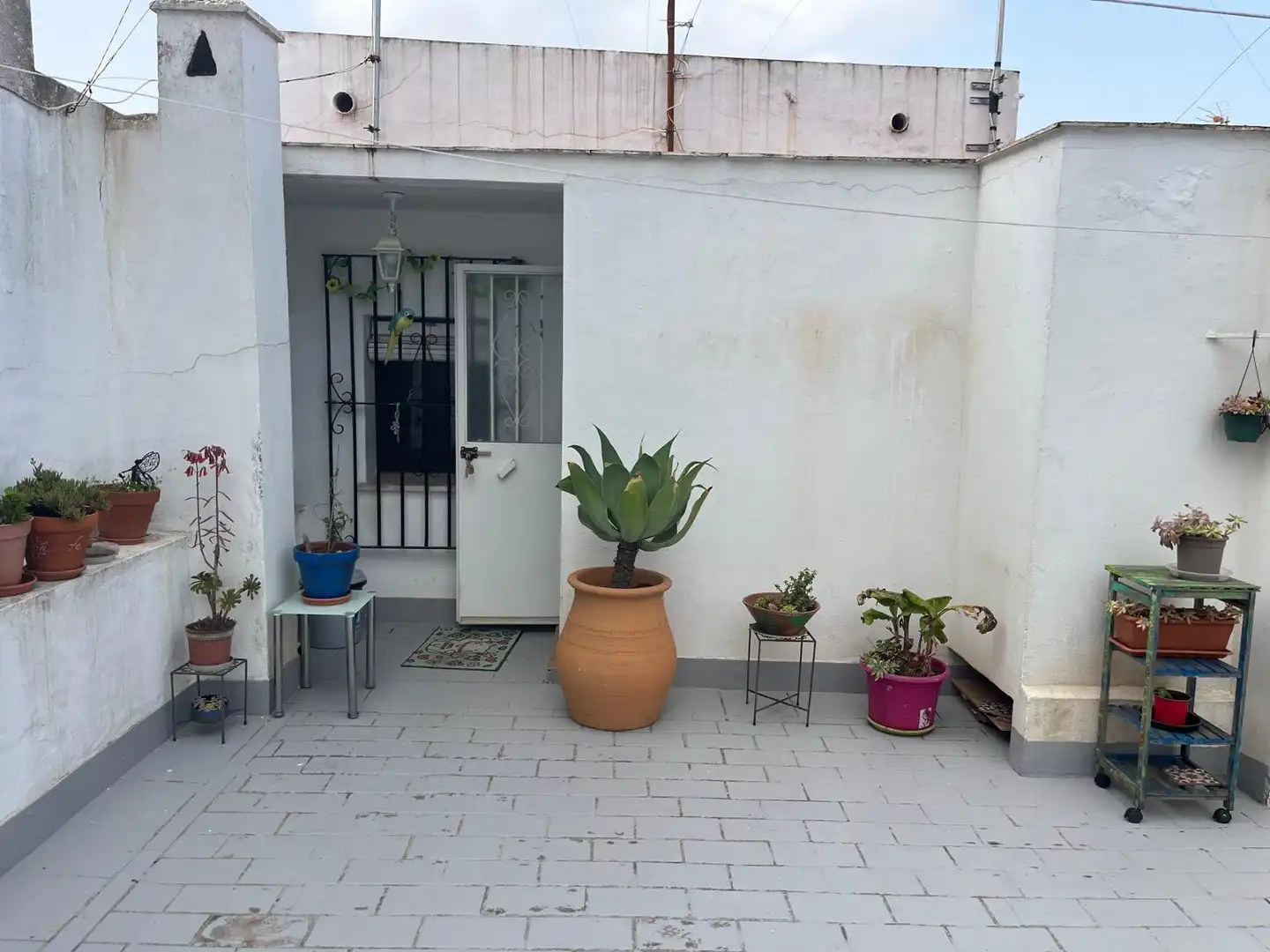 Terrassa de Pis en venda en Vejer de la Frontera amb Aire condicionat, Terrassa i Moblat