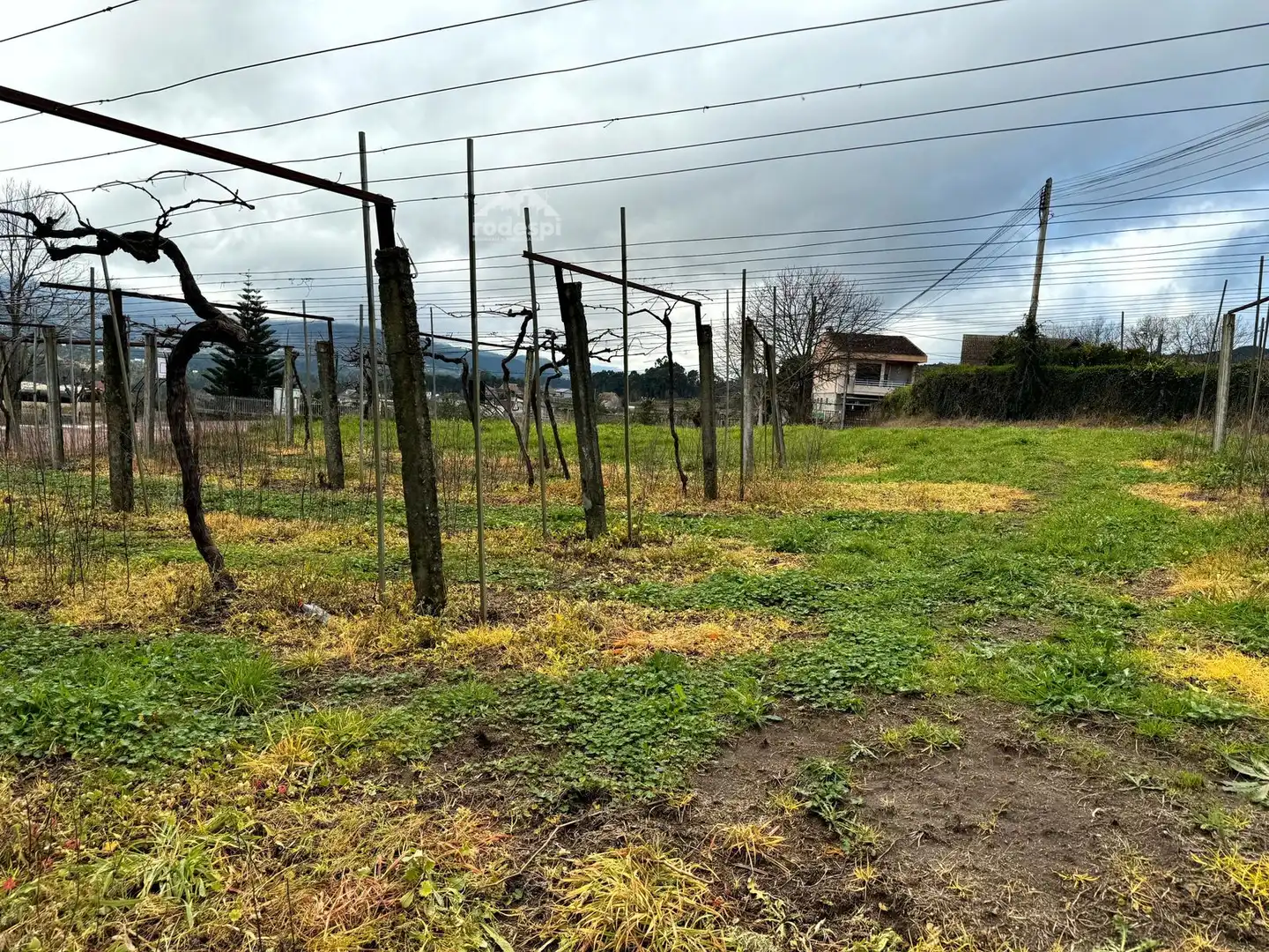 Rural land for sale in Arbo, imagen 26