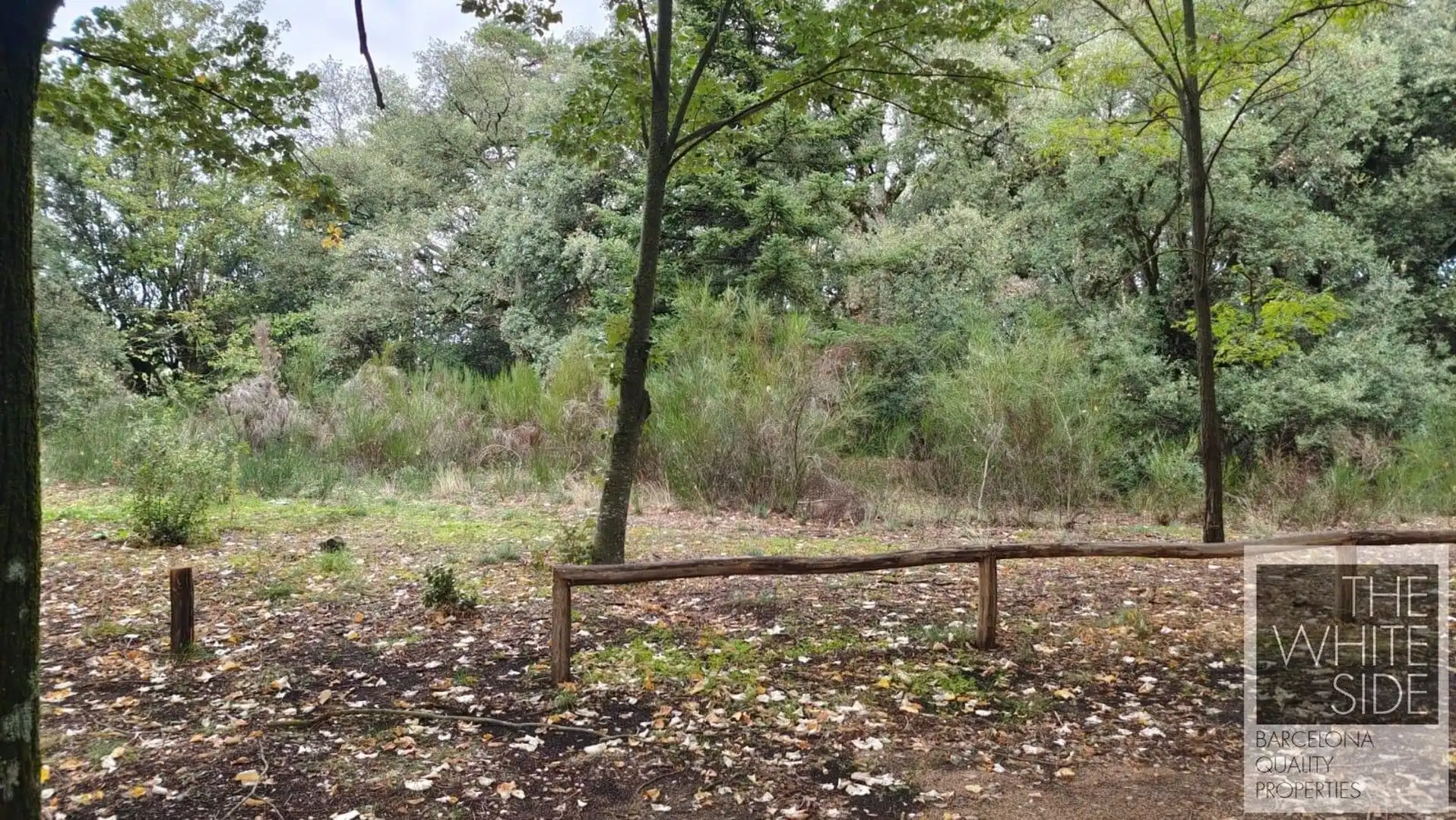 Terrenos y solares en venta en Viladrau, imagen 13