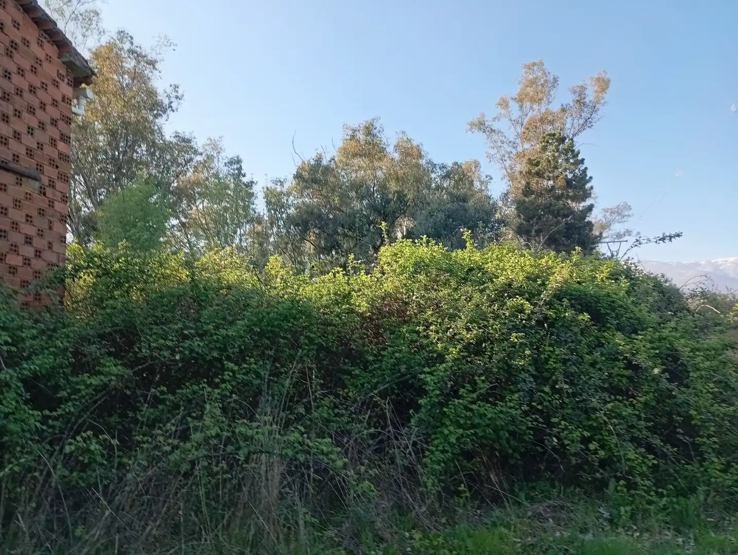 Terreni e lotti in vendita a Villanueva de la Vera, imagen 135