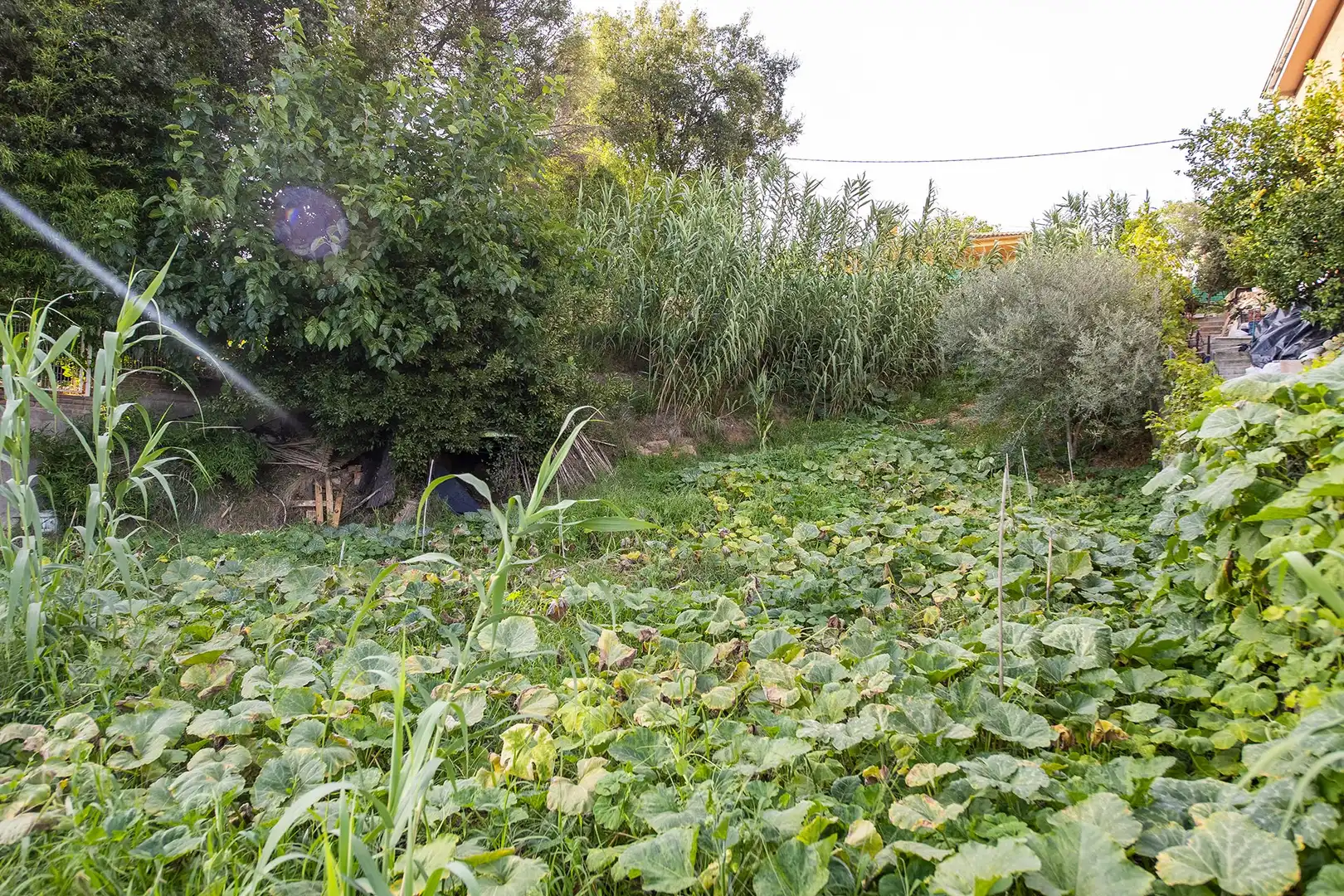 Terrenys i solars en venda a Banyoles