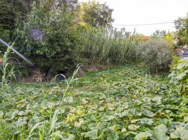 Terreni e lotti in vendita a Banyoles