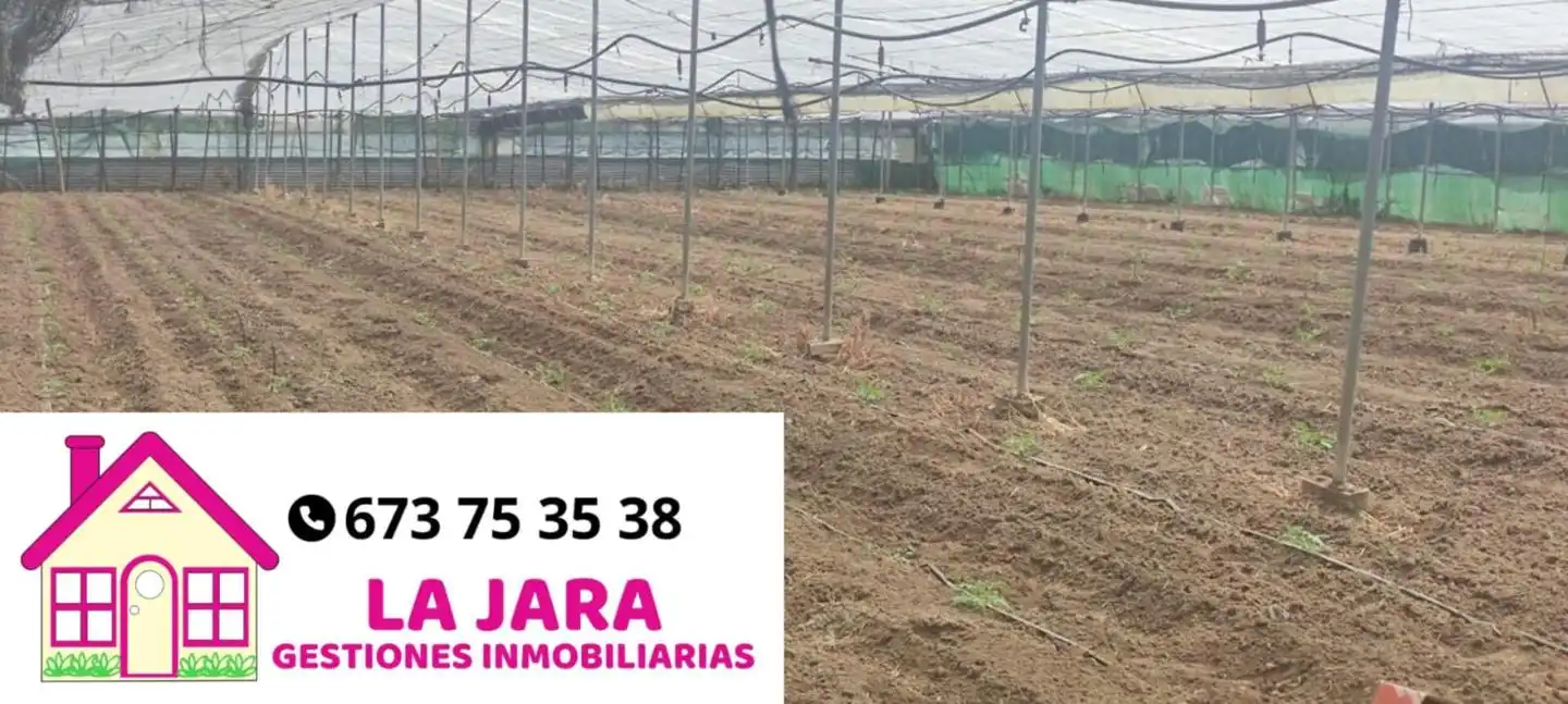 Terreni e lotti in vendita a De La Reyerta