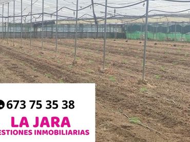 Terrenos y solares en venta en De La Reyerta