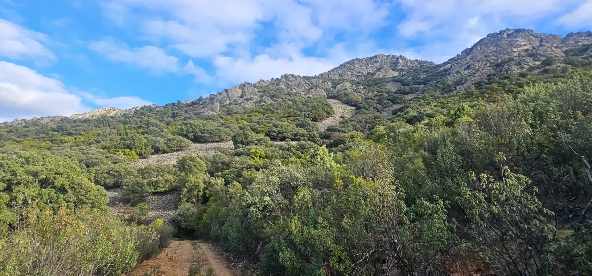 Terreni e lotti in vendita a Alía, imagen 5