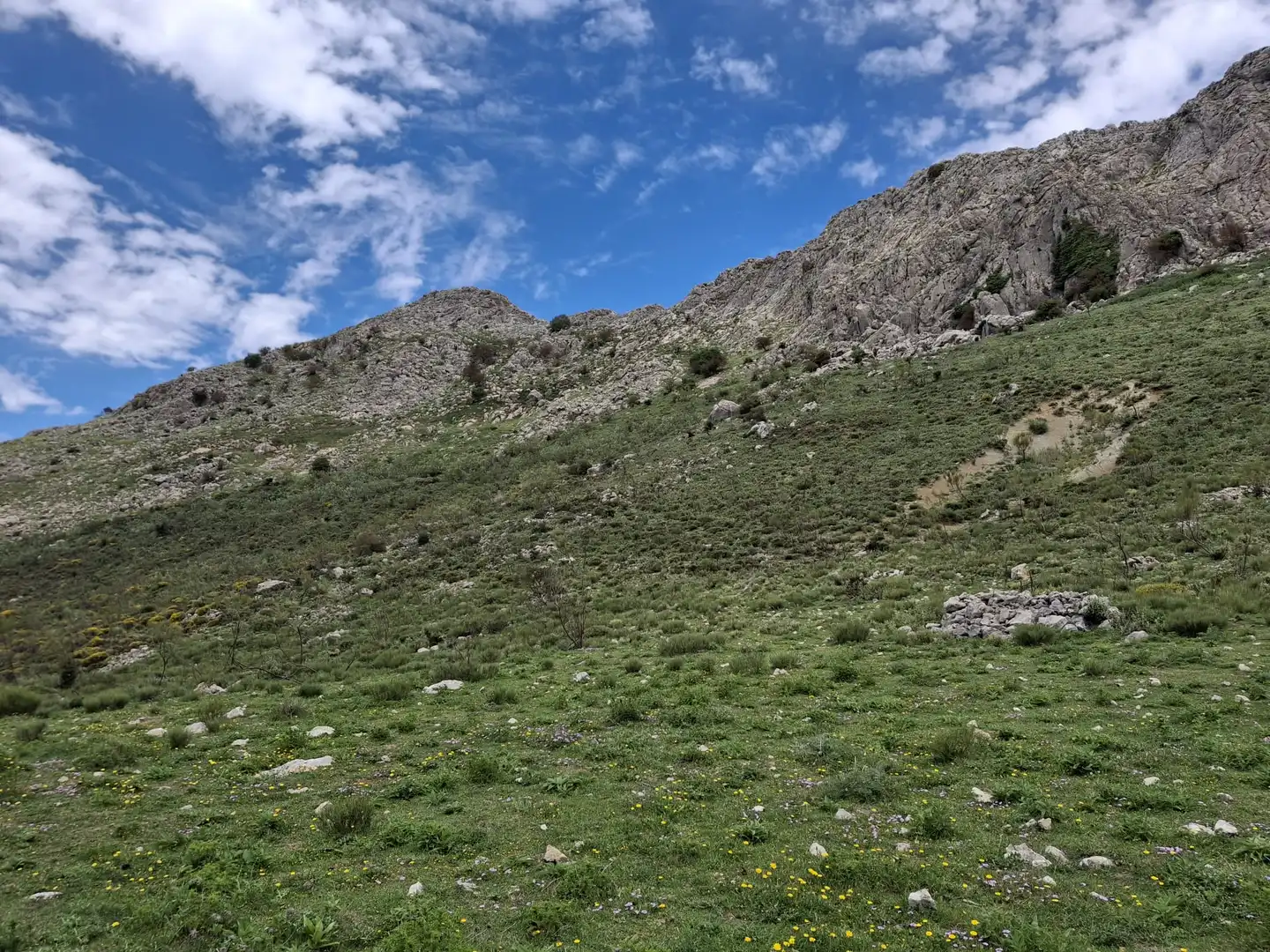 Terreni e lotti in vendita a Alfarnatejo, imagen 21
