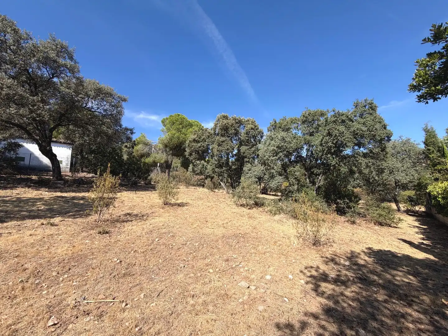 Residential land for sale in Villa del Prado, imagen 10