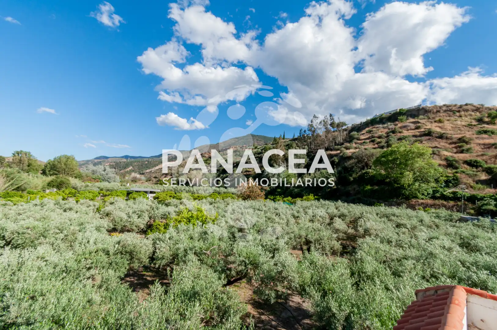 Country house with garden for sale in Canjáyar, imagen 33