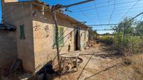 Vista exterior de Finca rústica en venda en Lloseta amb Jardí privat i Piscina