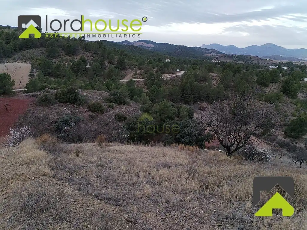 Casa o chalet en venta en Lorca