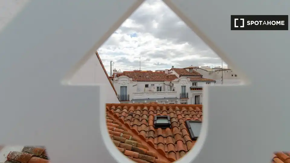 Appartamento con terrazza in affitto a Centro, imagen 14