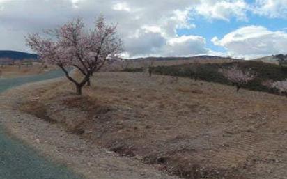 Terreny en venda en Lorca