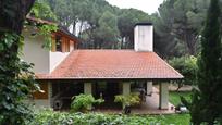 Garden of House or chalet for sale in San Martín de Valdeiglesias  with Heating, Private garden and Terrace