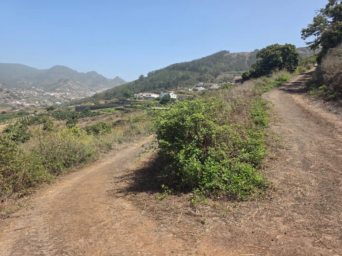 Rural land for sale in Camino las Peñuelas 11, imagen 46