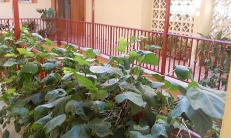 Photo 5 of Flat for sale in Avenida de Carmen Morcillo, Gójar, Granada