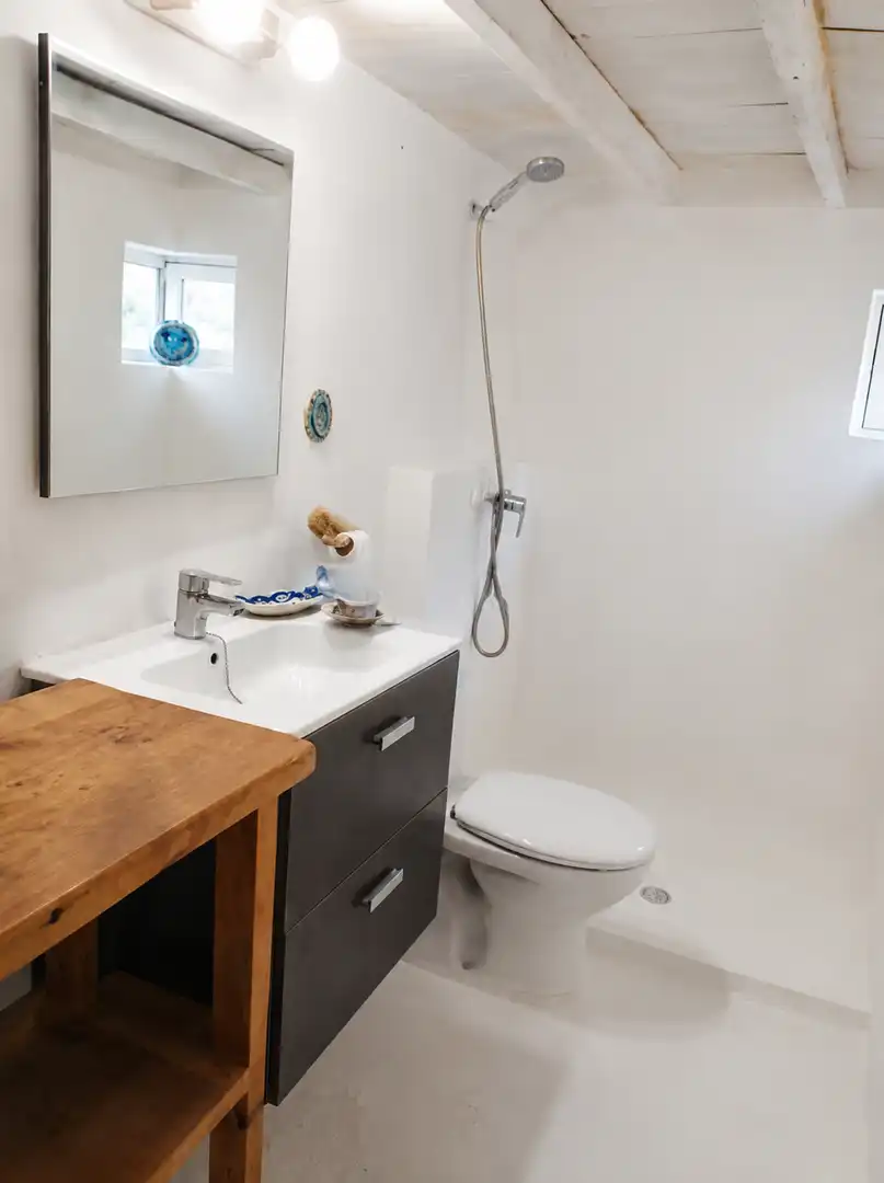 Bany de Casa o xalet en venda en Formentera amb Piscina