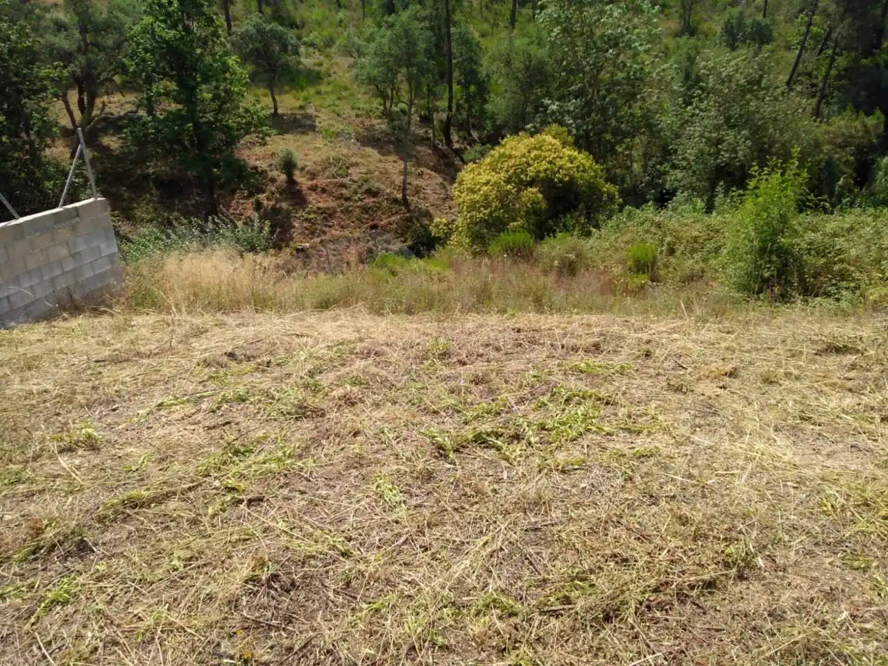 Rural land for sale in Residencial Park, imagen 5