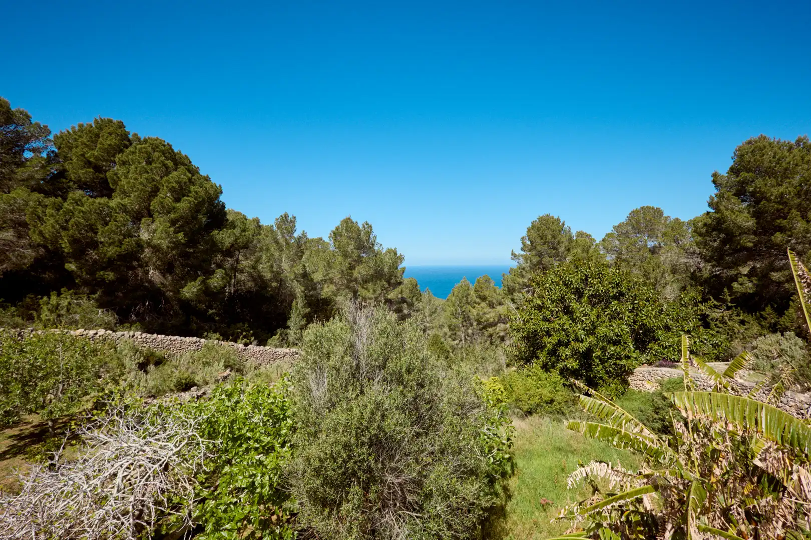 Jardí de Finca rústica en venda en Sant Joan de Labritja amb Aire condicionat, Jardí privat i Parquet