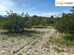 Rural land for sale in La Secuita, imagen 5
