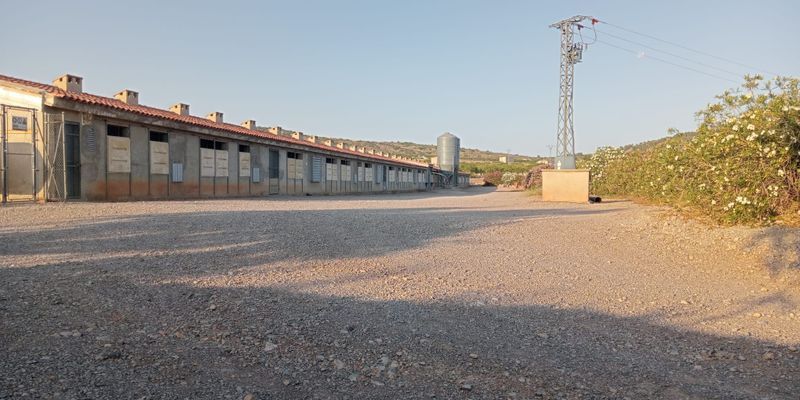 Vista exterior de Nave industrial en venta en Andilla