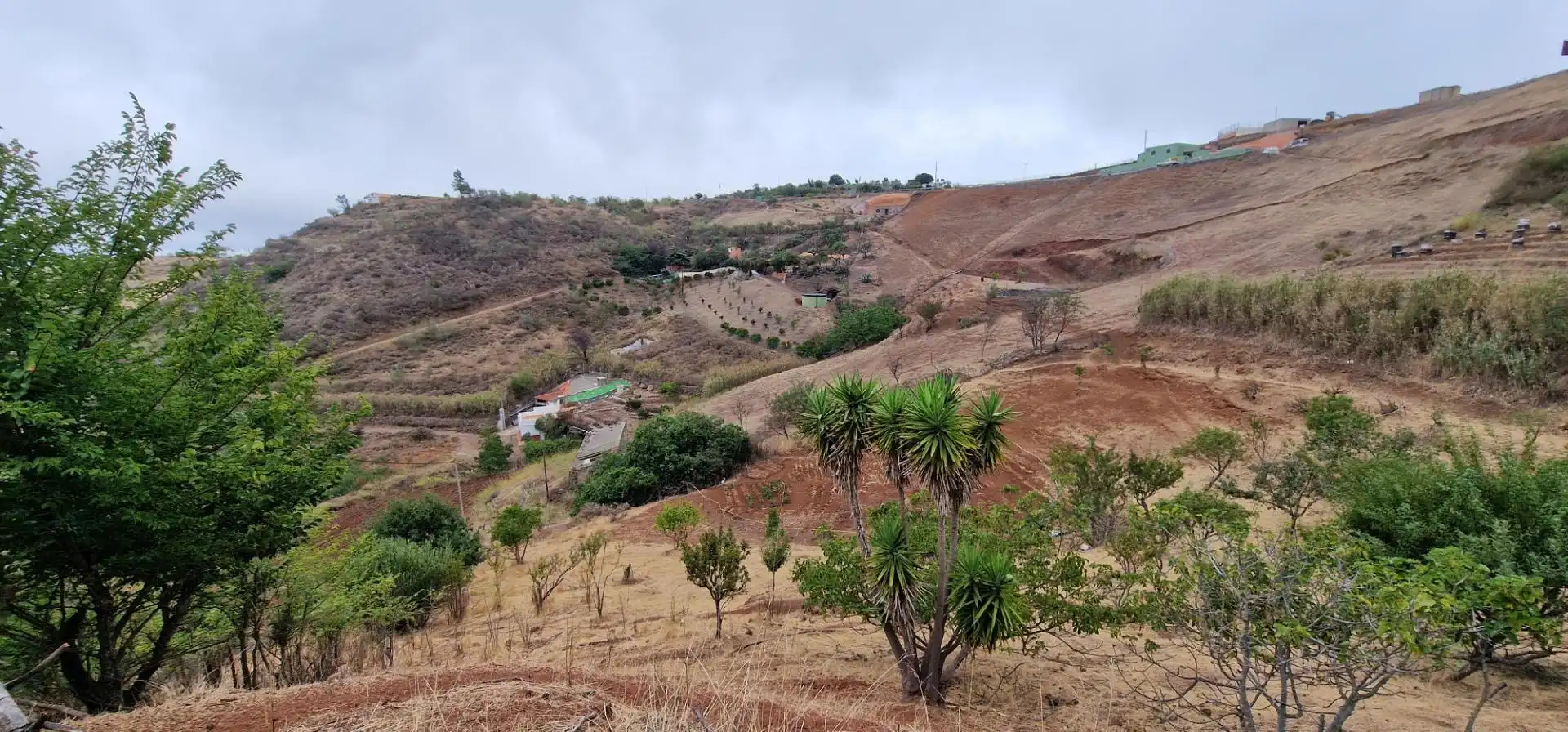 Casa o chalet en venta en Gáldar con Trastero
