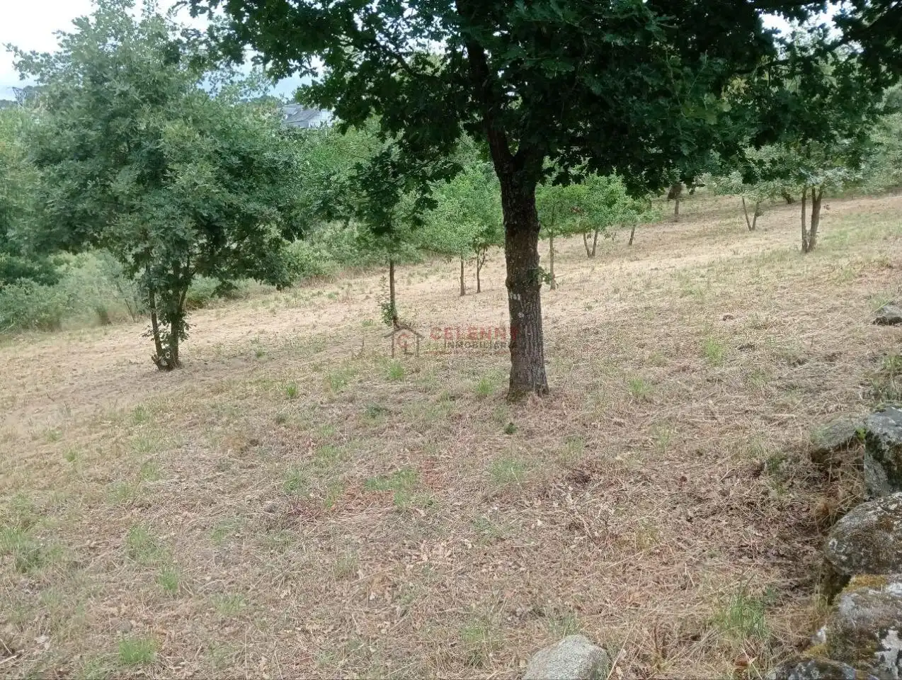 Terreni e lotti in vendita a San Cibrao das Viñas, imagen 7