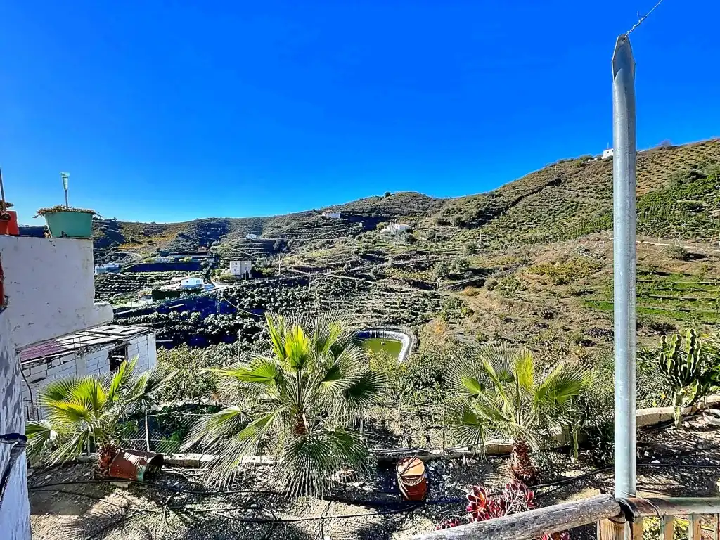 Vista exterior de Finca rústica en venta en Macharaviaya con Jardín privado, Terraza y Amueblado