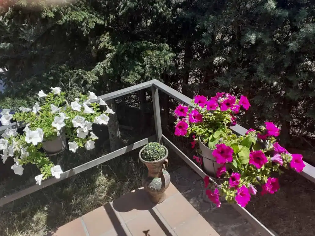 Casa o chalet en venta en Peguerinos