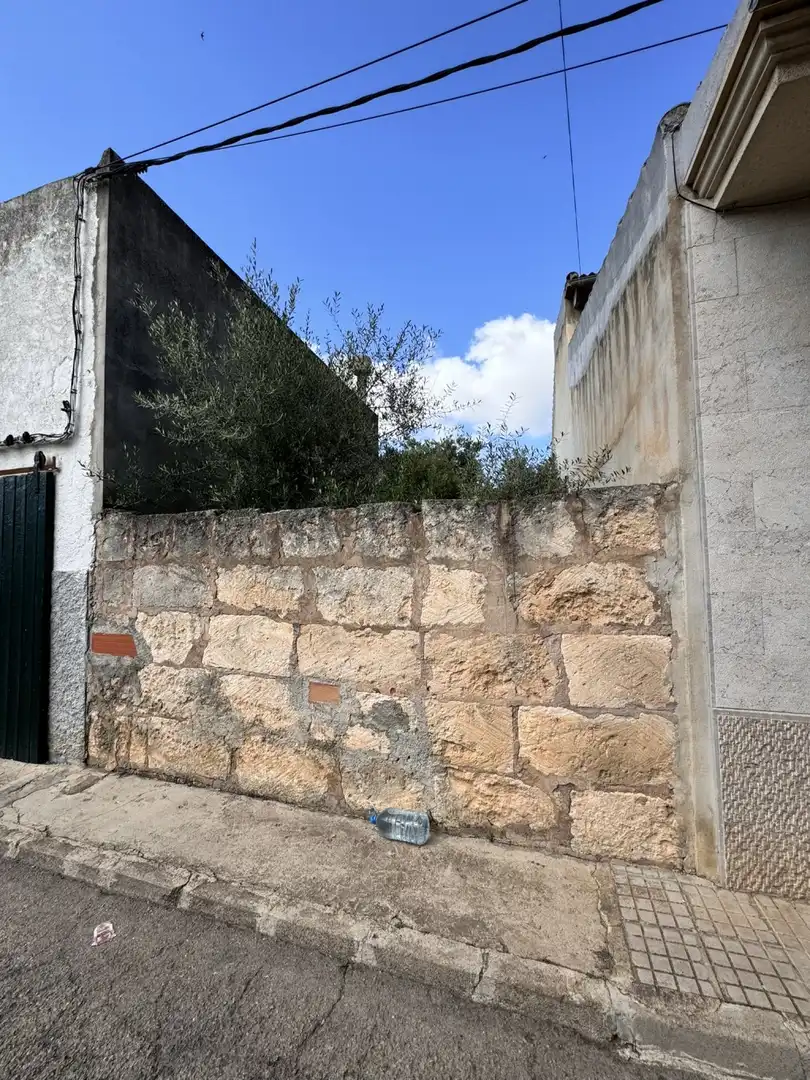 Terreno rustico in vendita a Sa Pobla, imagen 5