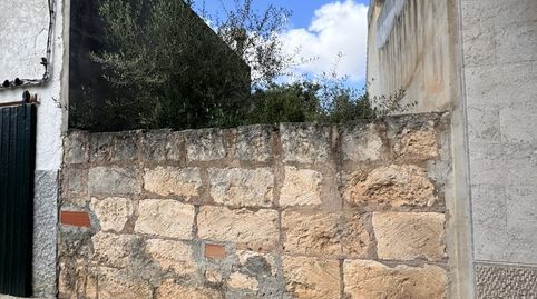 Foto 5 von Grundstücke zum Verkauf in Sa Pobla, Illes Balears