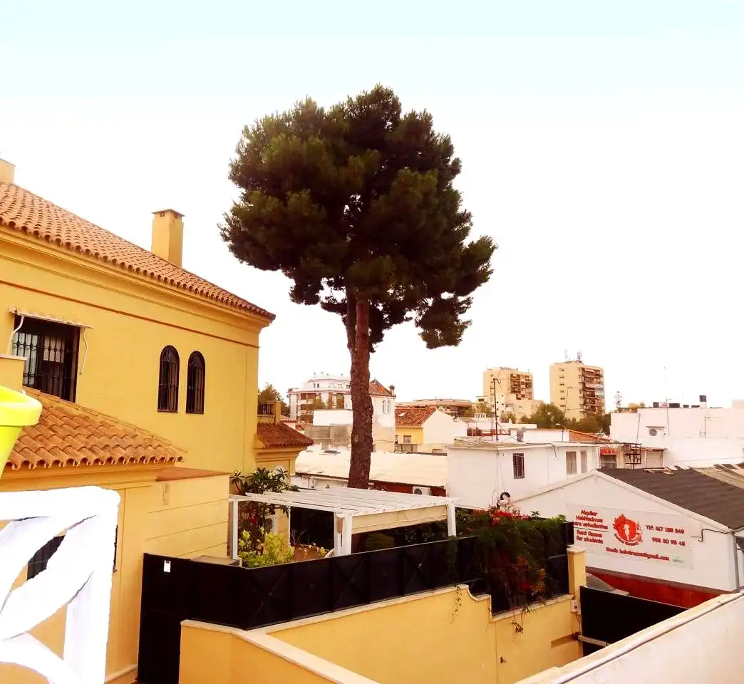 Vista exterior de Casa adosada en venda en Málaga amb Aire condicionat i Terrassa
