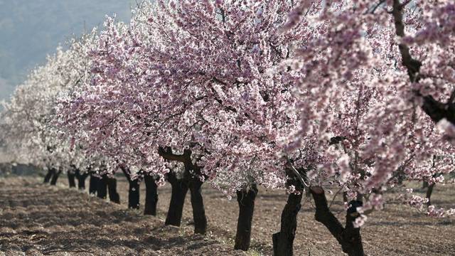 Terreno en Alquiler en NA-134, 9 en Azagra