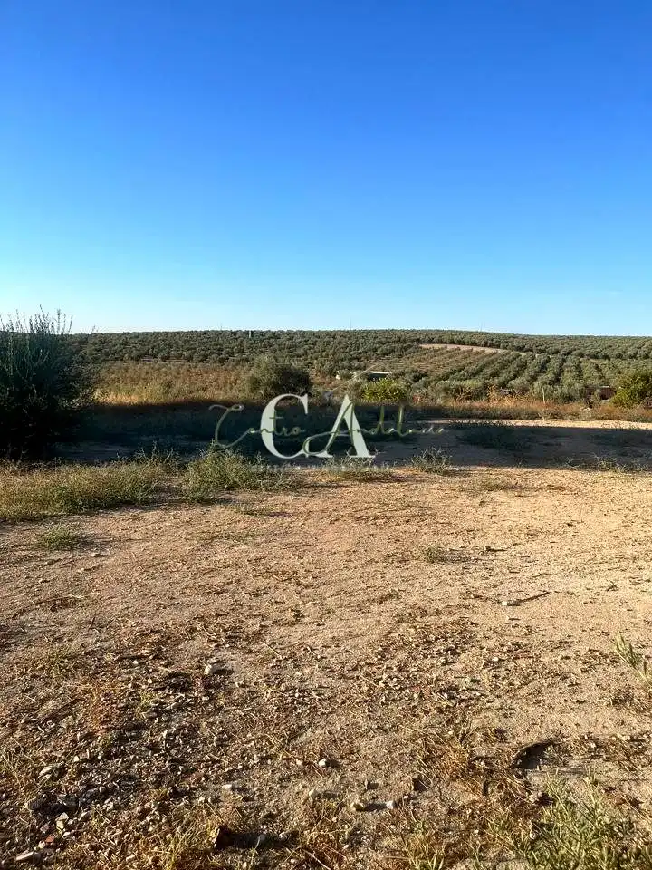 Terreny rústic en venda a A-3133, imagen 3