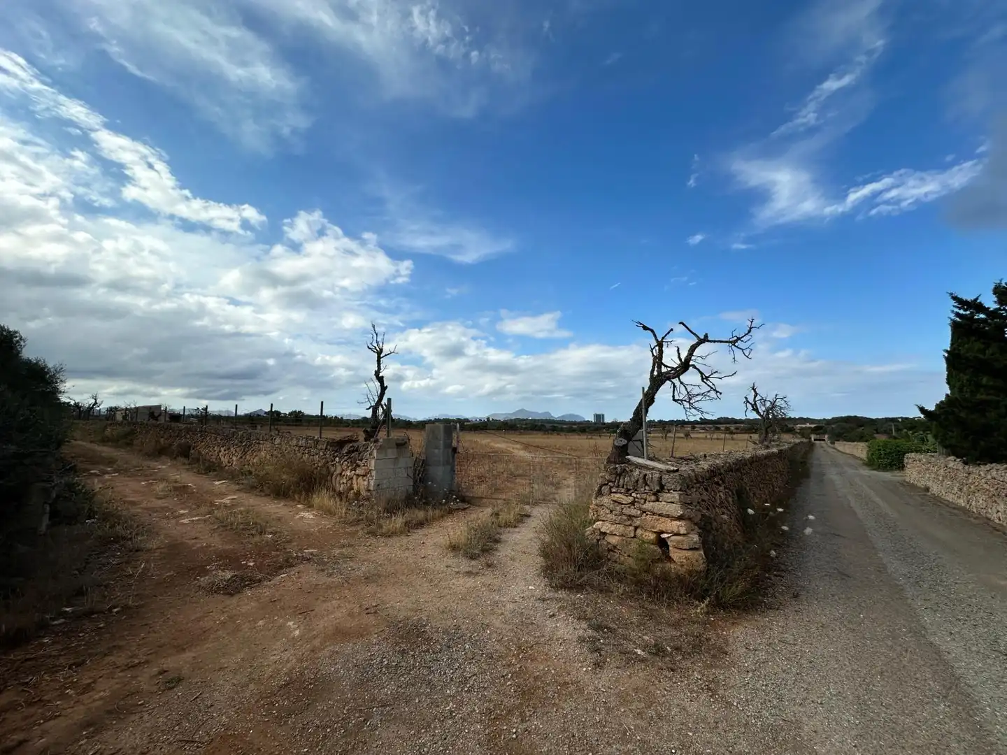 Terrain rustique à vendre à Muro, imagen 6