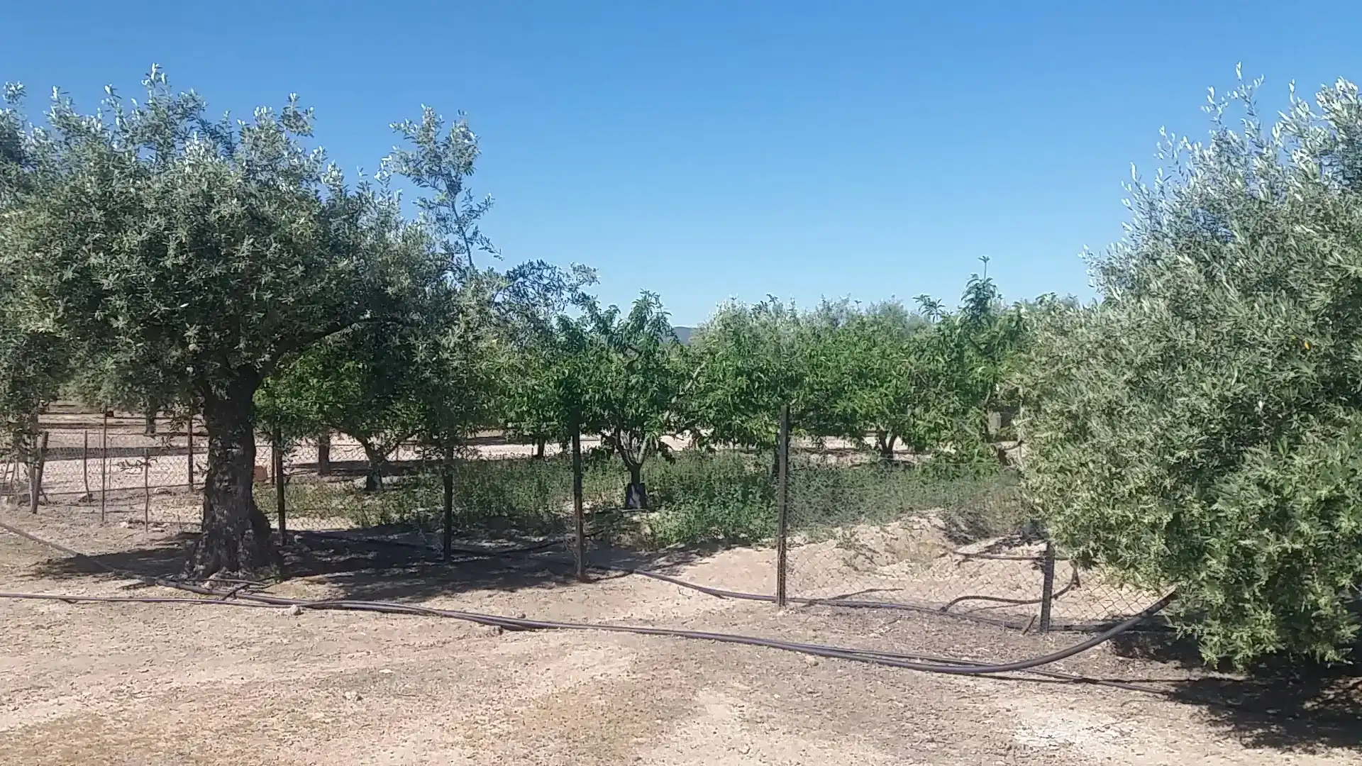 Casa o chalet en venta en La Haba 