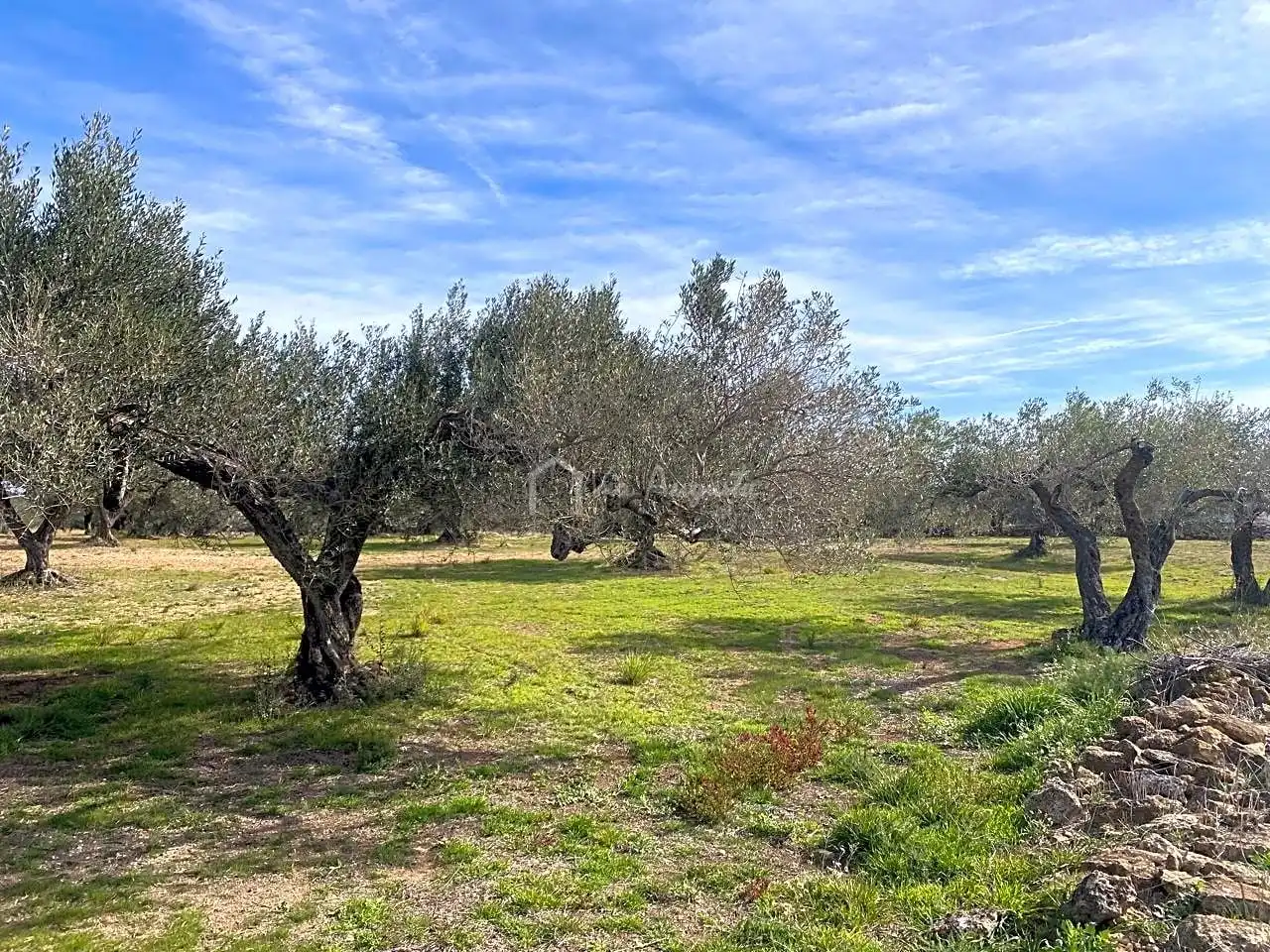 Terreno rustico in vendita a Planas, imagen 5
