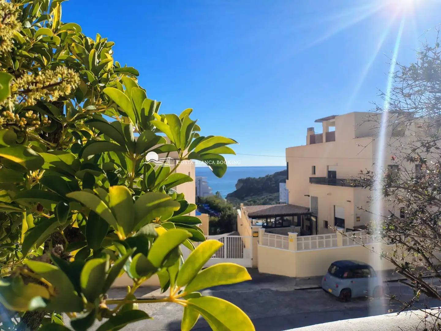 Vista exterior de Casa o xalet en venda en Villajoyosa / La Vila Joiosa amb Aire condicionat, Jardí privat i Piscina