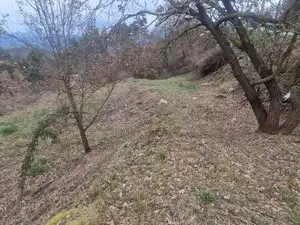 Residential land for sale in Carrer de Collsuspina 465, imagen 9