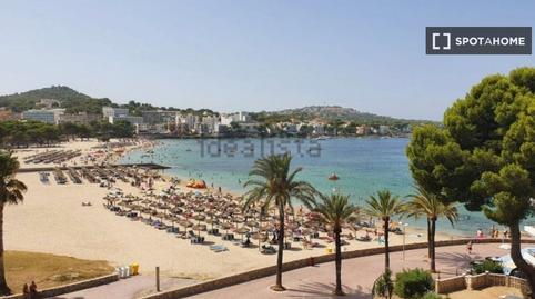 Photo 2 of Apartment to share in Costa de la Calma, Illes Balears