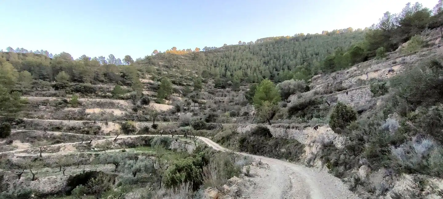 Terreny rústic en venda a Les Urques, imagen 9