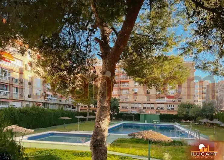 Piscina de Pis en venda en Alicante / Alacant amb Aire condicionat, Terrassa i Moblat