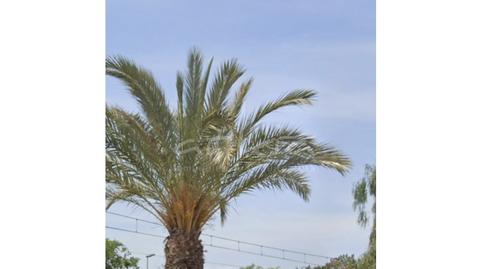 Foto 3 de Pis en venda a Pobla de Farnals, Valencia