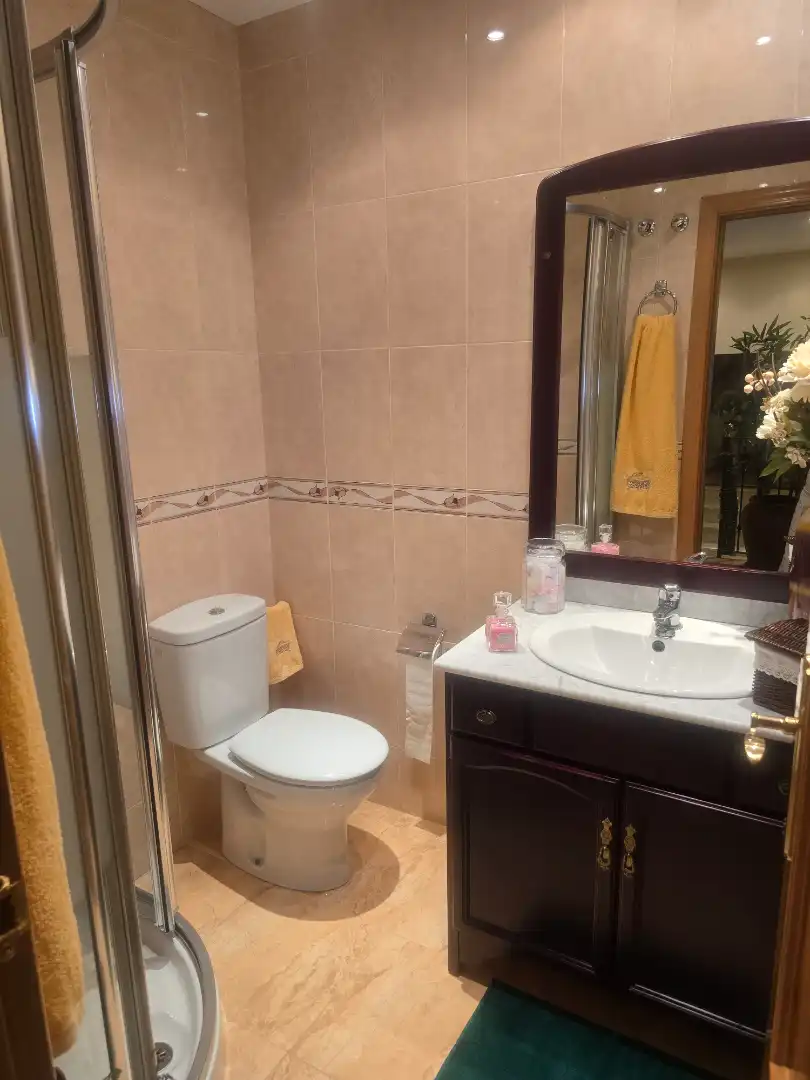 Baño de Casa o chalet en venta en Centro