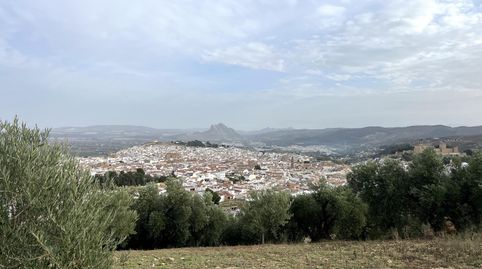 Foto 2 de Finca rústica en venda a Centro, Antequera