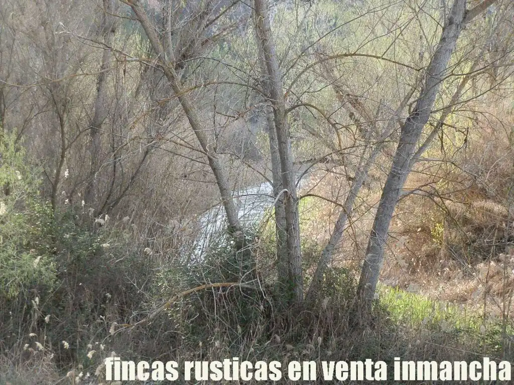 Rural land for sale in Requena, imagen 15