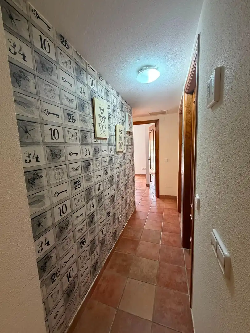 Adossat de lloguer a Calle MONSEÑOR FCO GIL HELLIN, imagen 22