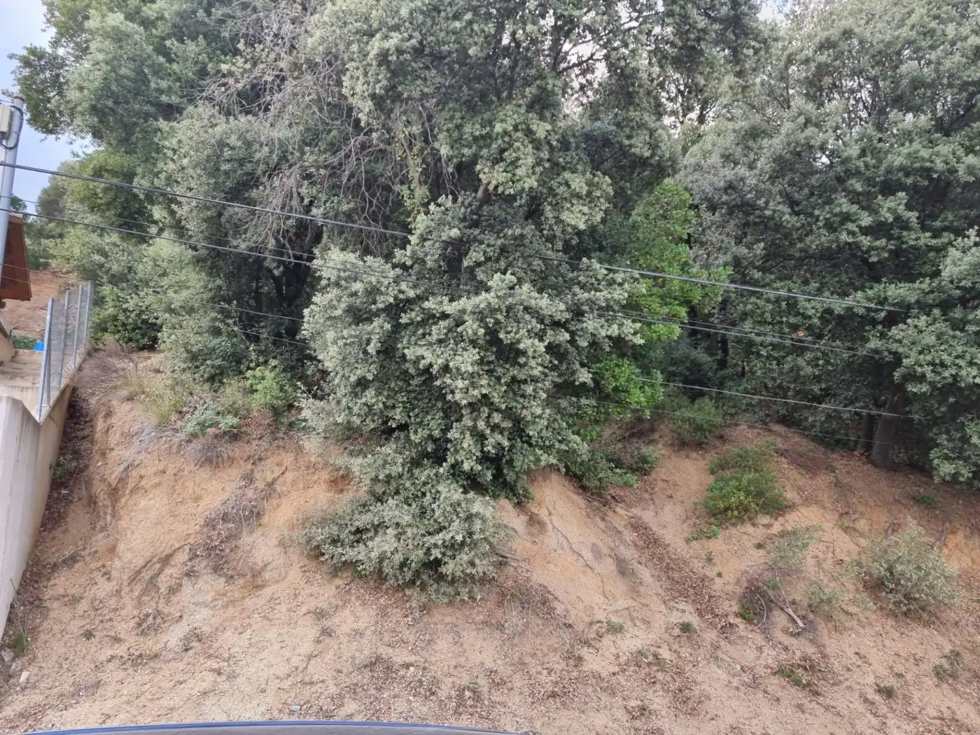 Lands and plots for sale in Calle MARGALLO, imagen 12