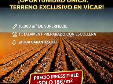 Rural land for sale in Calle Baja Estación 9