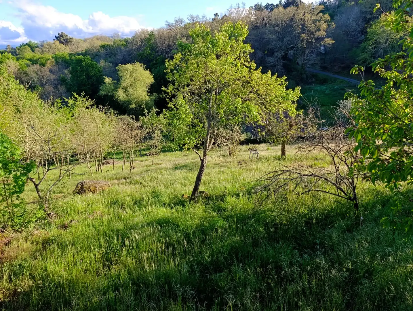 Casa rústica amb terrassa en venda a Pantón, imagen 19